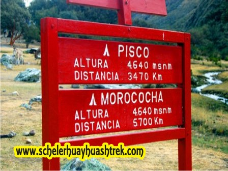 Señalizacion en la Ruta al Pisco